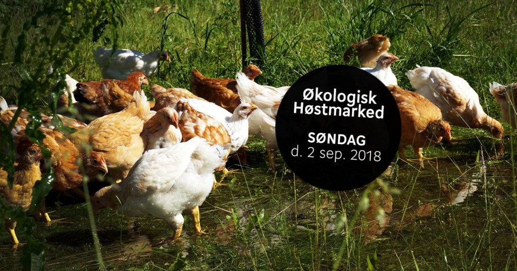 Økologisk høstmarked 2018